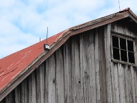 wireless barn camera